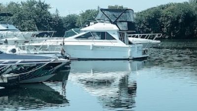 Photo of Sea Ray Seadan Bridge