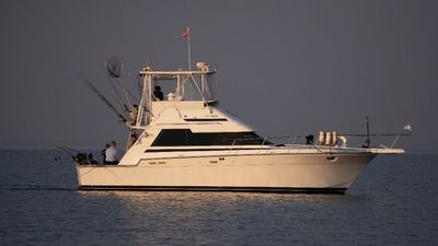 Photo of Book this 42’ Pleasure cruise in Toronto